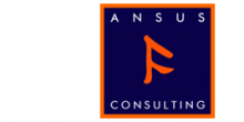 Ansus Consulting