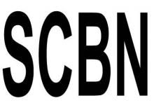 SCBN MCP - Google Partner