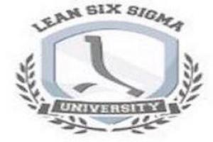 The Lean Six Sigma Company Italia s.r.l.