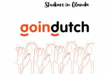 Goingdutch, studiare in Olanda.