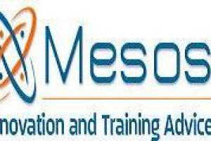 Mesos - Innovation and Training Advice