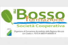 Il Bosso formazione soc. coop. a r.l.