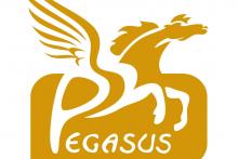 Pegasus Formazione