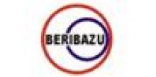 Capoeira Grupo Berribazu