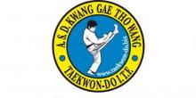 Corso di Taekwon-do - Tkd Tigers - Krav Maga - Kick Boxing