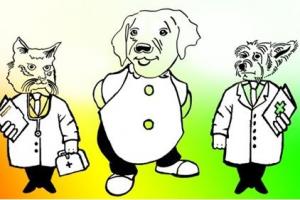 Associazione B.A.U. Benessere Animale e Umano - Centro Italiano di Pet Therapy Metacorporea©