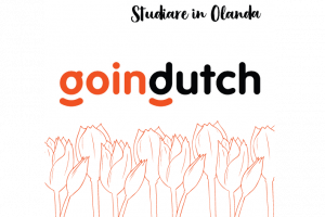 Goingdutch, studiare in Olanda.