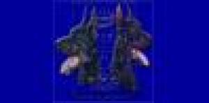 Allevamento di "Casa Balestrieri"