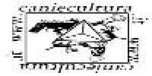 Centro Studi Cani e Cultura