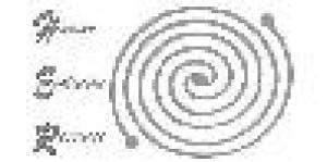 Her Human Evolution Resources