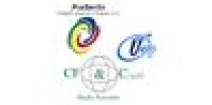 Progetti e Servizi Integrati Srl