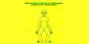 Associazione Italiana di Massaggio Tradizionale Thailandese