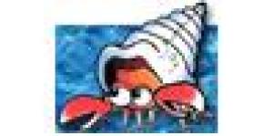 Soc. Coop. Soc. Onlus il Paguro