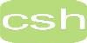 CSH professional language services