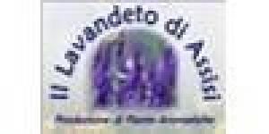 Il Lavandeto di Assisi