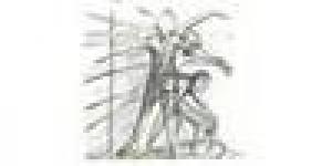 O.D.A. Opera Diocesana Assistenza