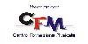 C.F.M. Centro di Formazione Musicale
