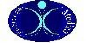 A.I.S.PO.- Accademia Italiana di Scienze Posturali