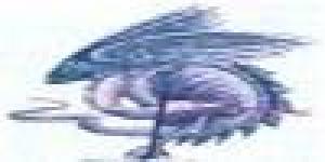 Centro linguistico Cinese di Milano