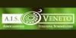 Ais Veneto