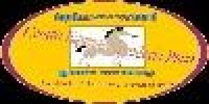 Centro Equestre - Scuderia Paco