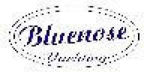 Bluenose Yachting srl - Sailing School