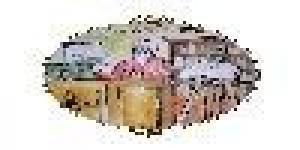 ISMO Istituto Superiore di Medicina Osteopatica