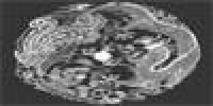 Tai Chi Genova Yang Family