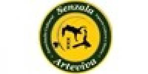 Capoeira Senzala Arteviva Vicenza