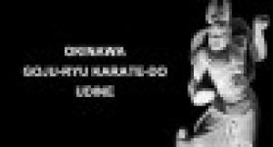 Okinawa Goju-Ryu karate-do Udine