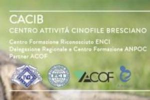 Centro Attività Cinofile Bresciano