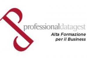 Professional Datagest S.r.l.