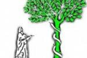 Accademia Per La Riprogrammazione