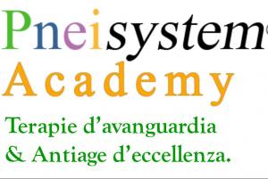 PNEISYSTEM ACADEMY
