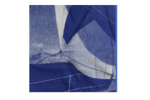 Istituto di Psicologia e Psicoterapia Psicopraxis