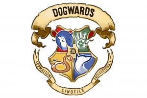DOGWARDS - Formazione Professionale Cinofilia
