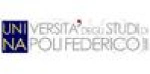 Università degli Studi di Napoli.