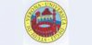 Internal Auditing - Univr