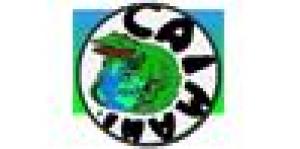 Brazilian Jiu Jitsu Caimani Team