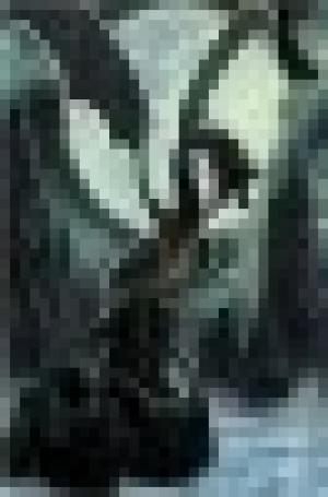 VTA Ving Tsun Academy