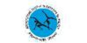 Associazione Italiana di Capoeira da Angola