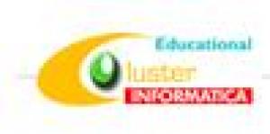 Cluster Informatica