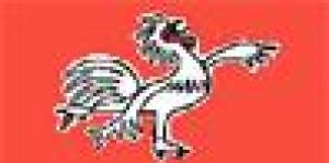 Rotellistica Gallaratese A.S.D.