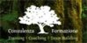 Twt Magia Travel Srl