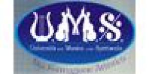 U.M.S. Università della Musica e dello Spettacolo