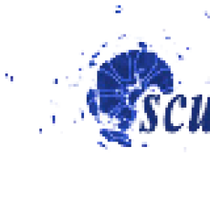 Scuola di Teatro Arsenale