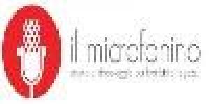 Il Microfonino