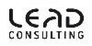 Lead Consulting