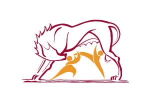 APD Marconi Stella - Taekwon-Do ITF