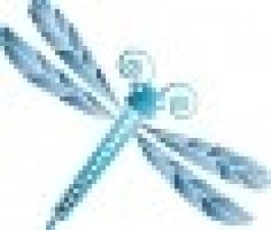 Laboratorio Libellula